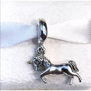 Authentic Pandora charm